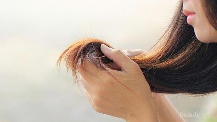 4 Cara Paling Jitu untuk Mengatasi Rambut Bercabang yang Membandel