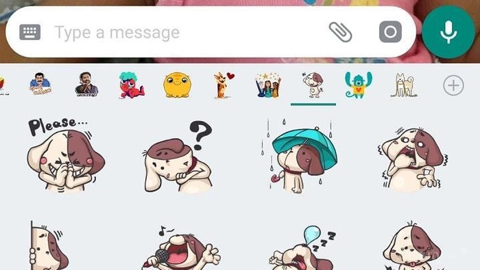 [FORUM] Cara bikin stiker WhatsApp gimana sih? Kok aku nggak bisa-bisa..