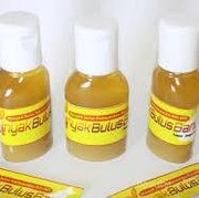 [FORUM] Percaya ga kalau minyak bulus bisa memperbesar payudara?