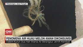 VIDEO: Fenomena Air Hijau Melon Aman Dikonsumsi