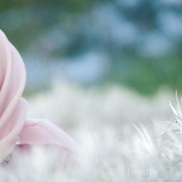 img-title Tak Hanya Wardah, Ini Deretan Kosmetik yang Halal dan Aman untuk Wanita Muslimah!