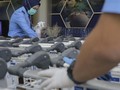 Cegah Corona, Angkasa Pura I dan II Terapkan Pembatasan Jarak
