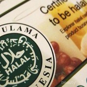 [FORUM] Seberapa penting label halal di makanan buat kamu?