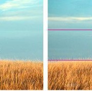 Baru Mulai Belajar Fotografi? Ini Dia 5 Tips Fotografi untuk Pemula Agar Hasilnya Keren