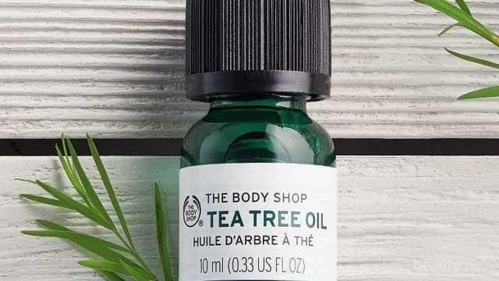 Punya Masalah dengan Jerawat? Manfaatkan The Body Shop Tea Tree Oil Sebagai Skincare Routine