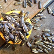 [FORUM] Tim makan kuaci dikumpulin dulu atau langsung dimakan, Mana sensasi yang paling kamu suka?