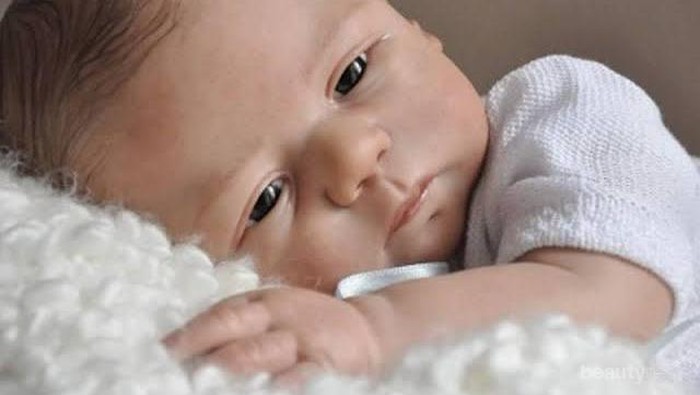 [FORUM]  Profesi yang kamu inginkan jika terlahir kembali