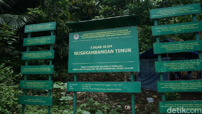 3 Lokasi Paling Angker di Nusakambangan, Suka Terdengar Teriakan Menyayat