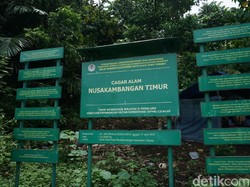 3 Lokasi Paling Angker di Nusakambangan, Suka Terdengar Teriakan Menyayat