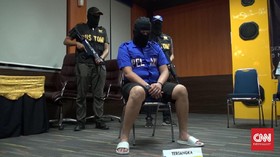 Bea Cukai Gagalkan Penyelundupan Benih Lobster ke Singapura