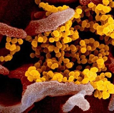 Dituduh Jadi Penyebar Virus Corona, Kakek Asal Korea Dipukuli