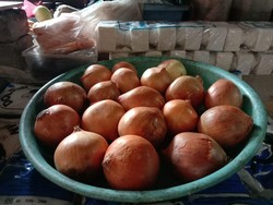 Cetak Rekor! Harga Bawang Bombai Naik Nyaris 10 Kali Lipat