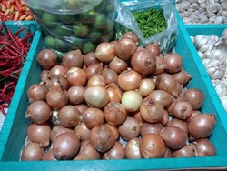 Beda Kebijakan Kemendag & Kementan Soal Impor Bawang