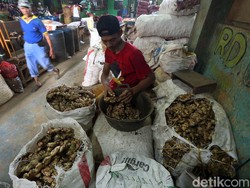 PT PUF Ikut Dorong Produktivitas Rempah-rempah RI