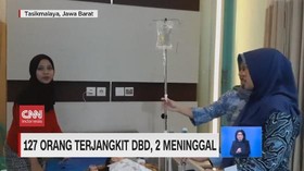 VIDEO: 127 Orang Terjangkit DBD, 2 Meninggal