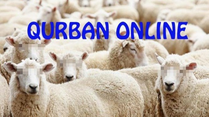 [FORUM] Kurban Dilakukan Secara Online, Gimana Pendapat Kamu?