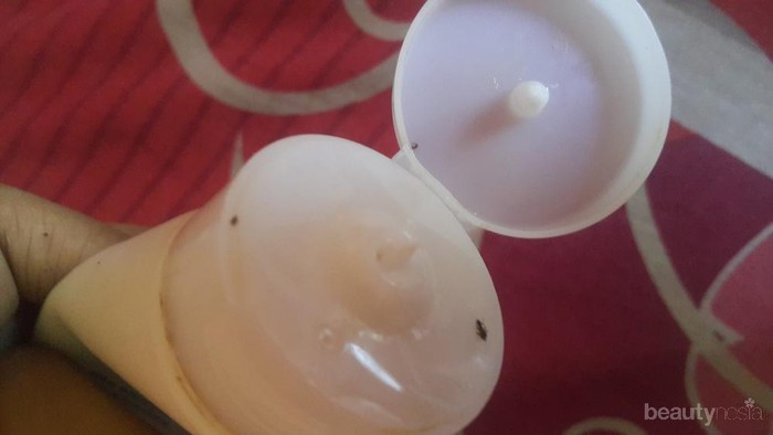 [FORUM] Facial wash Aku Kok bersemut Ya??