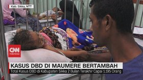 VIDEO: Pasien DBD Penuhi Rumah Sakit di Maumere
