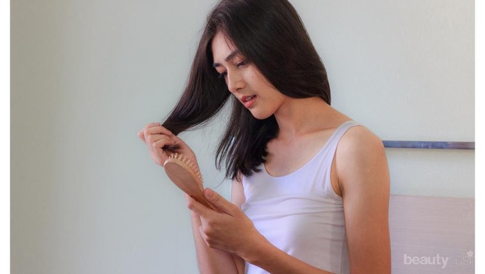 Rambutmu Sering Rontok? Mungkin Hal Terdekat Inilah yang Jadi Penyebabnya! Rambutmu Sering Rontok? Mungkin Hal Terdekat Inilah yang Jadi Penyebabnya!