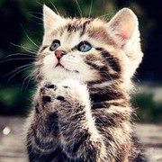 [FORUM] Kalian percaya ga sih sama mitos?