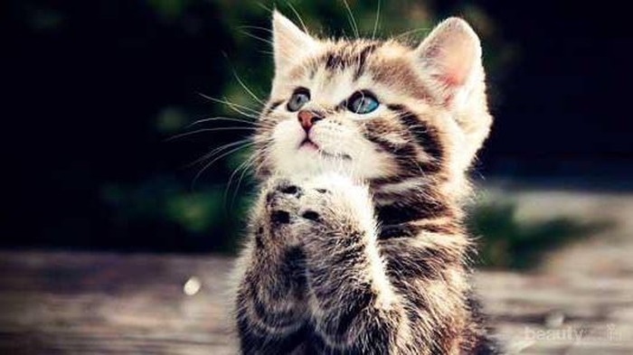 [FORUM] Kalian percaya ga sih sama mitos?