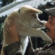 Jangan Lupa Siapkan Tisu untuk Menonton Film Jepang Sedih Terbaik Ini!