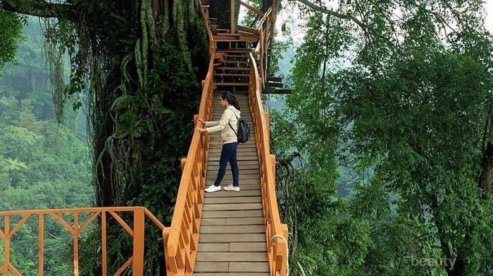 Mau Liburan Murah Tapi Worth It? Yuk Cek Rekomendasi Wisata Bogor Berikut Ini!