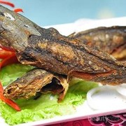 Butuh Rekomendasi Pecel Lele Paling Enak di Jakarta? Ini Listnya yang Bisa Kamu Kunjungi