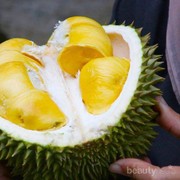 [FORUM] Kamu termasuk yang suka sama durian ngga?