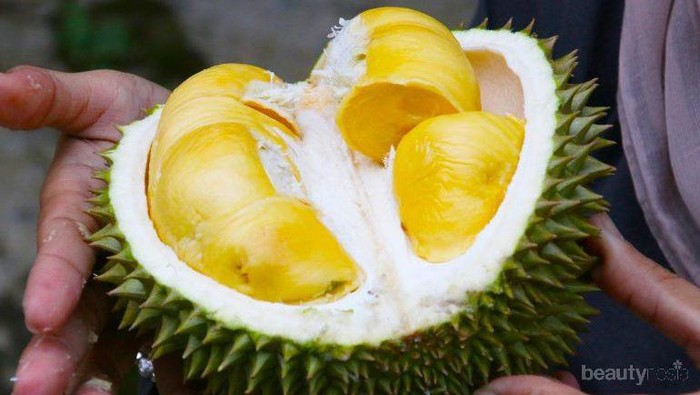 [FORUM] Kamu termasuk yang suka sama durian ngga?