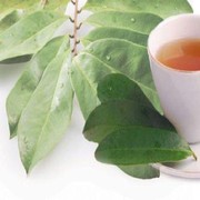 FORUM] Sharing manfaat air rebusan daun salam untuk diet