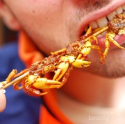 Buat Kamu yang Ngaku Pecinta Kuliner, Berani Enggak Coba Makanan Ekstrim Ini?