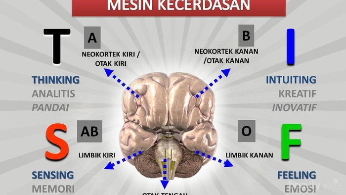 [FORUM] Sudah pernah coba tes STIFIn, hasilnya apa?
