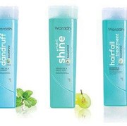 [FORUM] Kok aku pakai Sampo Wardah Gatel ya?