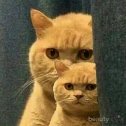 [FORUM] Mana yang Lebih Dulu Dipakai, Nature Republic atau Night Cream?