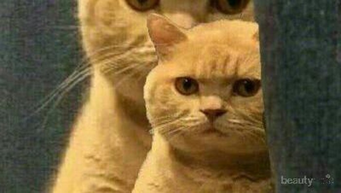 [FORUM] Mana yang Lebih Dulu Dipakai, Nature Republic atau Night Cream?