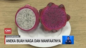VIDEO: Aneka Buah Naga dan Manfaatnya