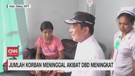 VIDEO: Jumlah Korban Meninggal DBD Meningkat