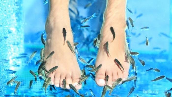[FORUM] Ada yang pernah coba spa dengan ikan?