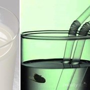 [FORUM] Kalo minuman sudah dimasuki lalat, better diminum atau gimana?