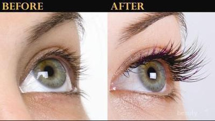 [FORUM] Ada yang udah coba serum minyak zaitun? Ternyata ampuh panjangkan bulu mata!