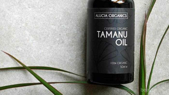 Cegah Penuaan Dini dengan Tanamu Oil! Lagi Naik Daun Lho