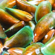 [FORUM] Gara-gara makan kerang hijau, sampai menderita begini! Ada yang pernah?
