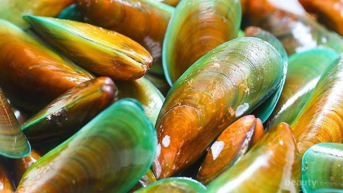 [FORUM] Gara-gara makan kerang hijau, sampai menderita begini! Ada yang pernah?