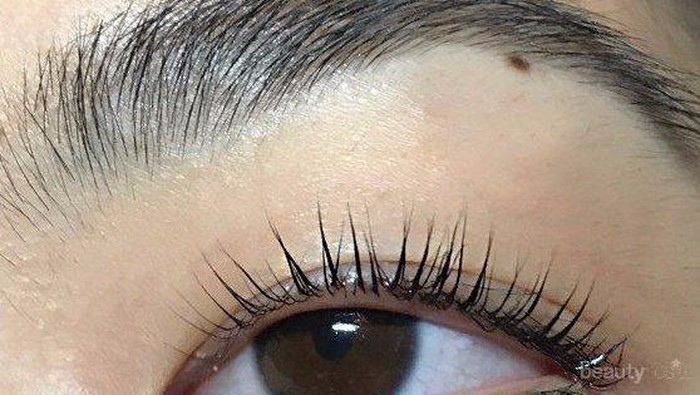 [FORUM] Apa itu lash lifting? Apa bedanya dengan extension? Obrolin di sini yuk!