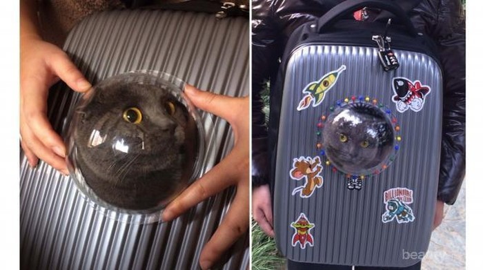 Kamu Tak Akan Kepikiran, Inilah Bentuk Tas Punggung Paling Unik yang Pernah Ada