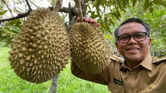 Eks ajudan Gubernur Sulsel Nurdin Abdullah menyebut suap miliaran Rupiah dari para kontraktor diserahkan dengan dibungkus kardus dan amplop.