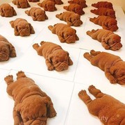 [FORUM] VIRAL Es Krim Bentuk Anjing, Tega Makannya?