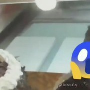 [FORUM] Duh! Ada Tikus Berkeliaran di Toko BreadTalk Guys Videonya Viral