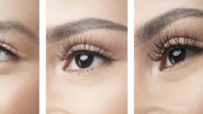 #NEWS Bulu Mata Tampak Indah dan Natural dengan BLP Poise Eyelashes